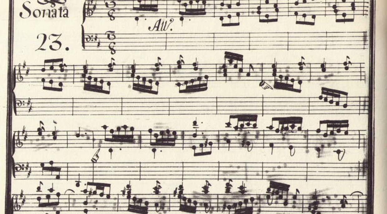 sonata23.jpg